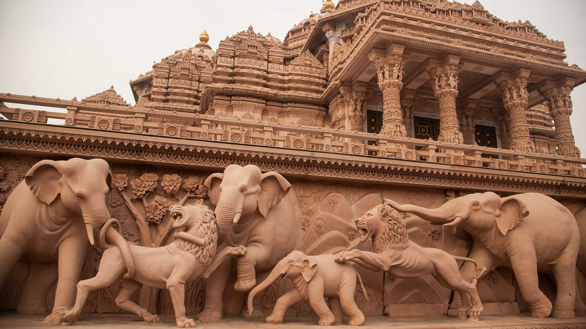 Viaje al Templo Dorado en Norte India